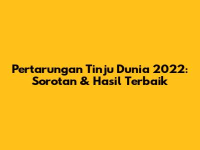 Pertarungan Tinju Dunia 2022: Sorotan & Hasil Terbaik