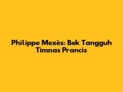 Philippe Mexès: Bek Tangguh Timnas Prancis