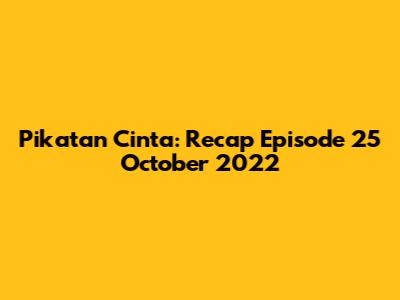 Pikatan Cinta: Recap Episode 25 October 2022
