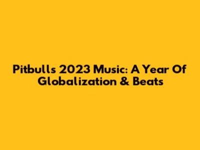 Pitbull's 2023 Music: A Year Of Globalization & Beats