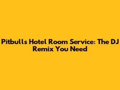 Pitbull's Hotel Room Service: The DJ Remix You Need