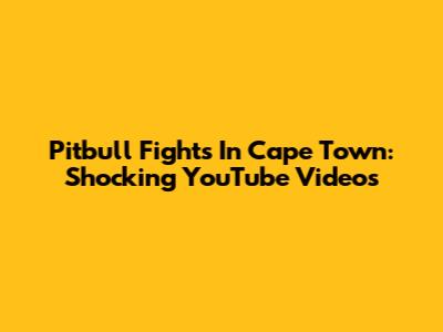 Pitbull Fights In Cape Town: Shocking YouTube Videos