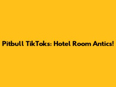 Pitbull TikToks: Hotel Room Antics!