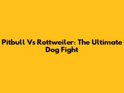 Pitbull Vs Rottweiler: The Ultimate Dog Fight