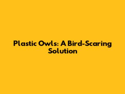 Plastic Owls: A Bird-Scaring Solution