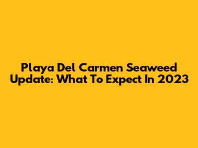 Playa Del Carmen Seaweed Update: What To Expect In 2023