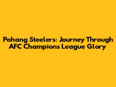 Pohang Steelers: Journey Through AFC Champions League Glory