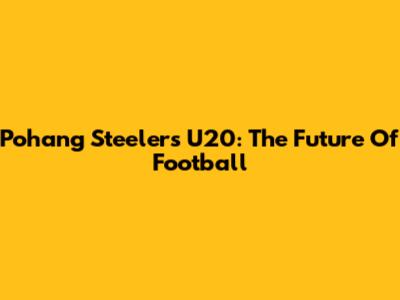 Pohang Steelers U20: The Future Of Football