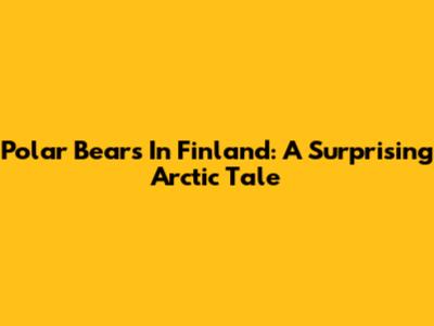 Polar Bears In Finland: A Surprising Arctic Tale