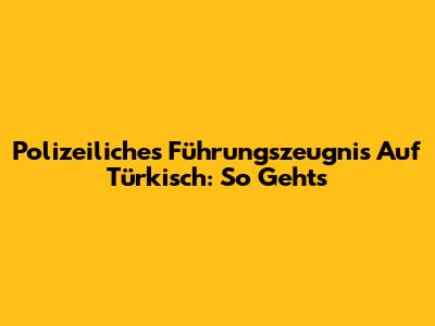 Polizeiliches Führungszeugnis Auf Türkisch: So Geht's