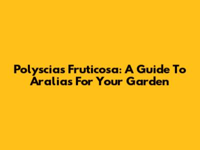 Polyscias Fruticosa: A Guide To Aralias For Your Garden
