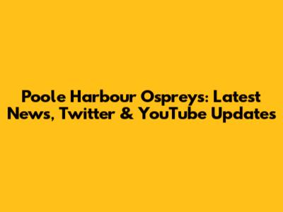 Poole Harbour Ospreys: Latest News, Twitter & YouTube Updates