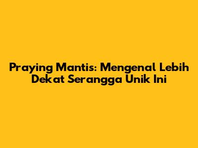 Praying Mantis: Mengenal Lebih Dekat Serangga Unik Ini