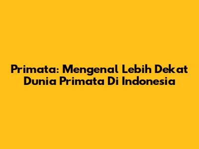 Primata: Mengenal Lebih Dekat Dunia Primata Di Indonesia
