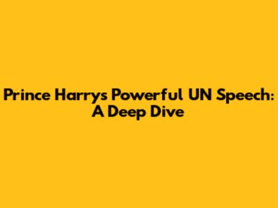 Prince Harry's Powerful UN Speech: A Deep Dive