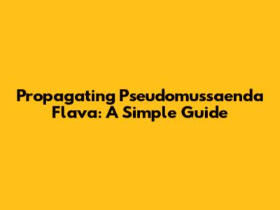 Propagating Pseudomussaenda Flava: A Simple Guide