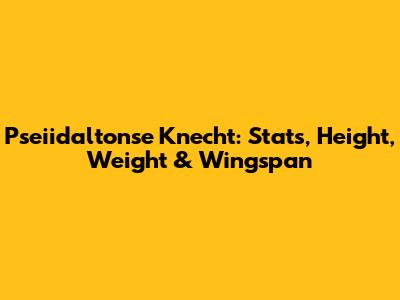 Pseiidaltonse Knecht: Stats, Height, Weight & Wingspan