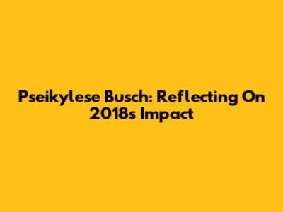 Pseikylese Busch: Reflecting On 2018's Impact