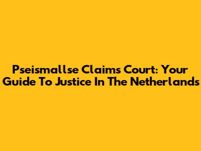 Pseismallse Claims Court: Your Guide To Justice In The Netherlands