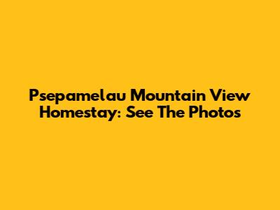 Psepamelau Mountain View Homestay: See The Photos
