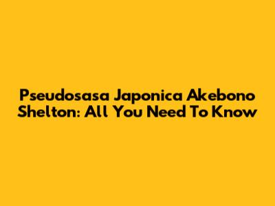 Pseudosasa Japonica 'Akebono' Shelton: All You Need To Know