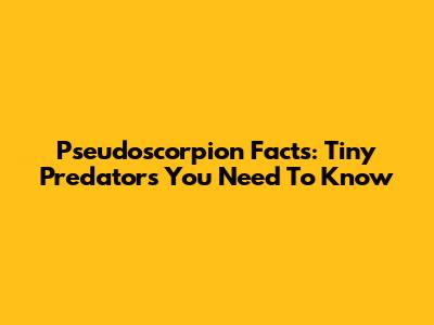 Pseudoscorpion Facts: Tiny Predators You Need To Know