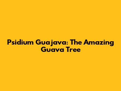 Psidium Guajava: The Amazing Guava Tree