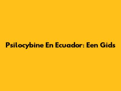 Psilocybine En Ecuador: Een Gids