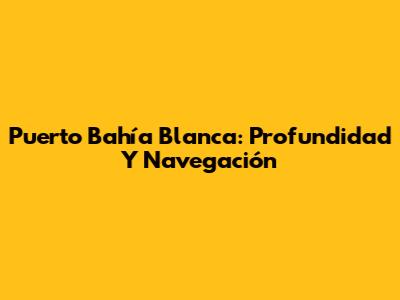 Puerto Bahía Blanca: Profundidad Y Navegación