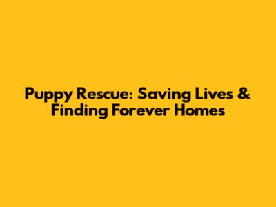 Puppy Rescue: Saving Lives & Finding Forever Homes
