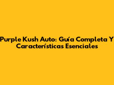 Purple Kush Auto: Guía Completa Y Características Esenciales