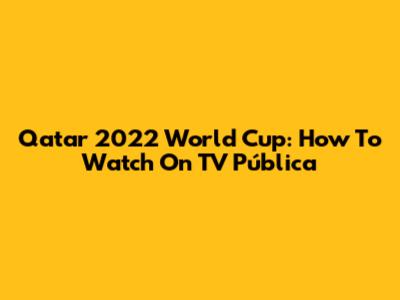 Qatar 2022 World Cup: How To Watch On TV Pública
