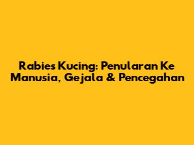 Rabies Kucing: Penularan Ke Manusia, Gejala & Pencegahan