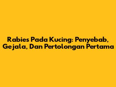 Rabies Pada Kucing: Penyebab, Gejala, Dan Pertolongan Pertama