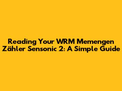 Reading Your WRM Memengen Zähler Sensonic 2: A Simple Guide