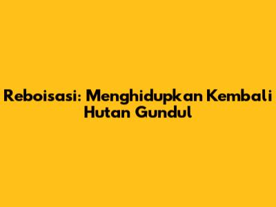 Reboisasi: Menghidupkan Kembali Hutan Gundul