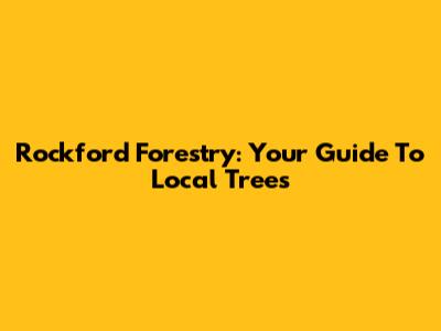 Rockford Forestry: Your Guide To Local Trees