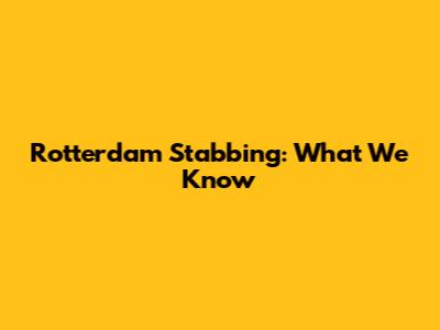 Rotterdam Stabbing: What We Know