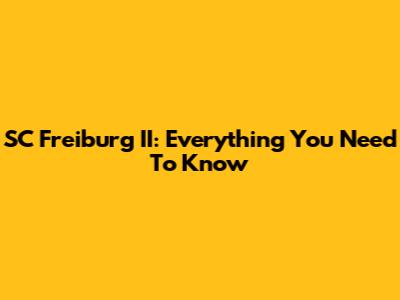 SC Freiburg II: Everything You Need To Know