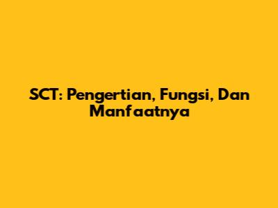 SCT: Pengertian, Fungsi, Dan Manfaatnya
