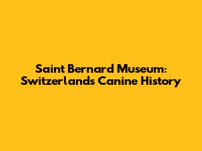 Saint Bernard Museum: Switzerland's Canine History