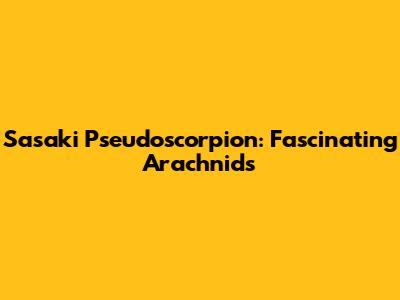 Sasaki Pseudoscorpion: Fascinating Arachnids