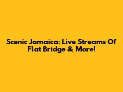 Scenic Jamaica: Live Streams Of Flat Bridge & More!