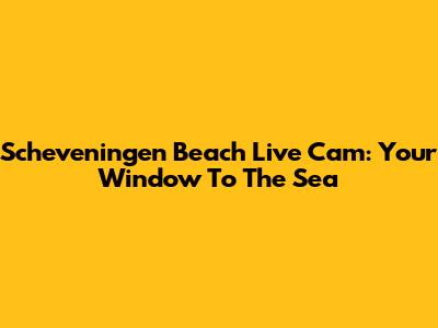 Scheveningen Beach Live Cam: Your Window To The Sea
