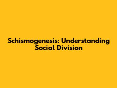 Schismogenesis: Understanding Social Division