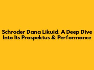 Schroder Dana Likuid: A Deep Dive Into Its Prospektus & Performance