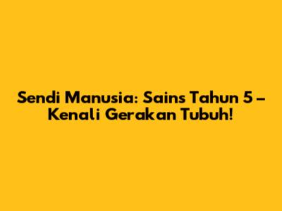 Sendi Manusia: Sains Tahun 5 – Kenali Gerakan Tubuh!