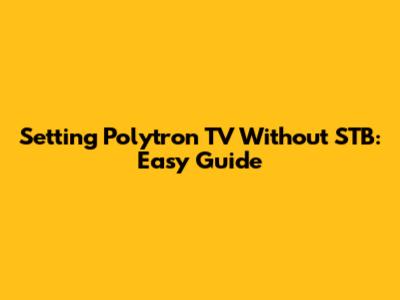 Setting Polytron TV Without STB: Easy Guide