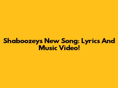 Shaboozey's New Song: Lyrics And Music Video!