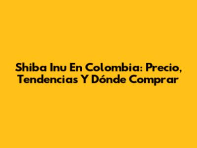 Shiba Inu En Colombia: Precio, Tendencias Y Dónde Comprar